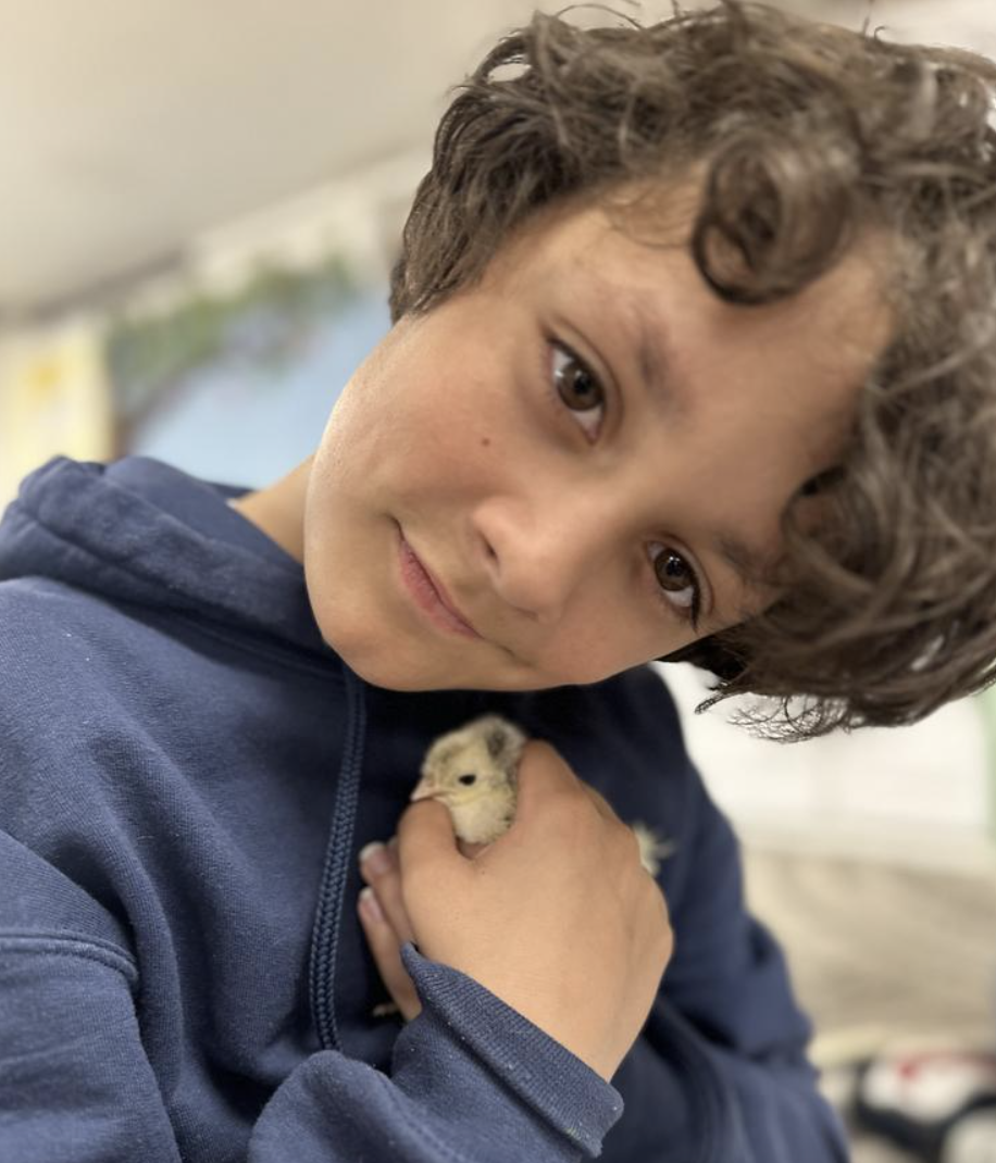 Elementary II Featured image